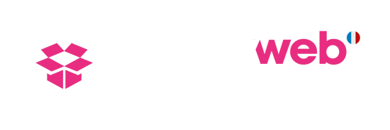 Exé-logo-Horizontal-SuplyWeb-Rose-Blanc